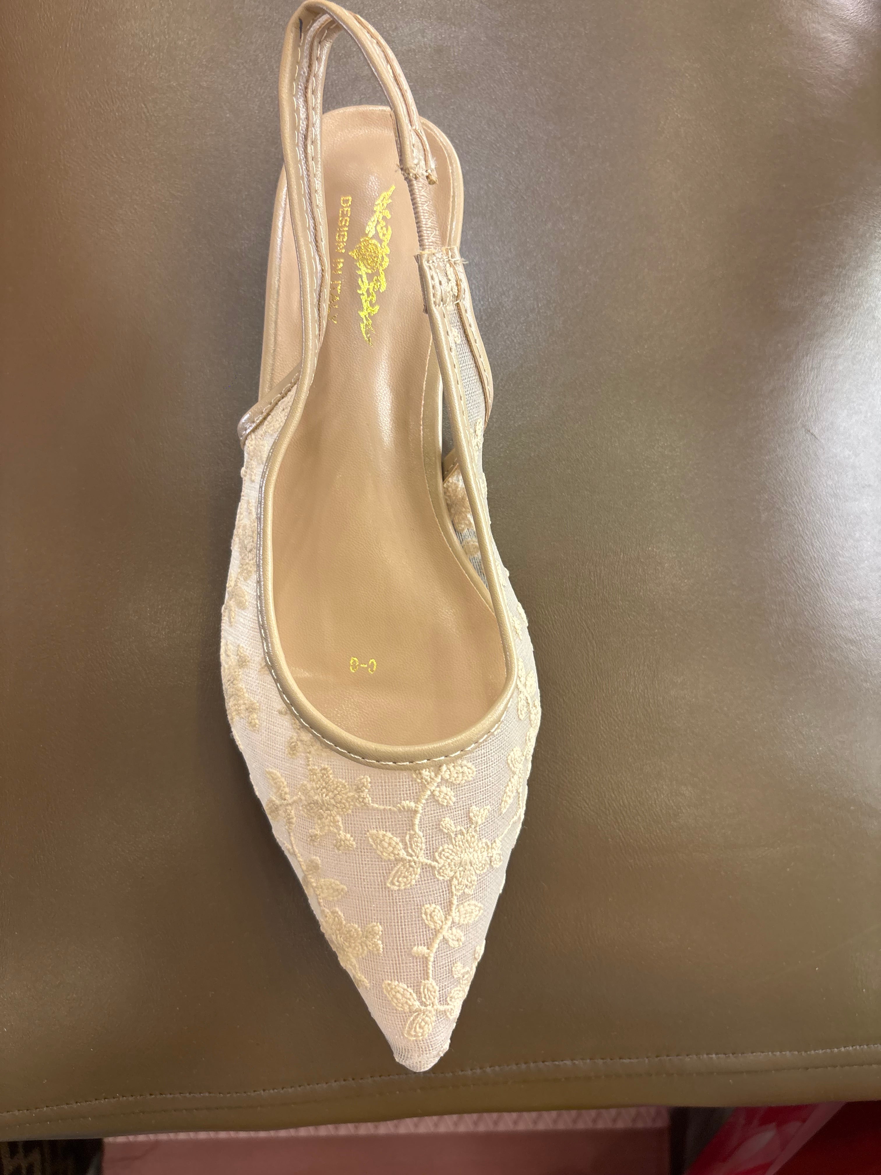 Carla Mesh Hand Embroidered Sling Back Pointed Ballerinas