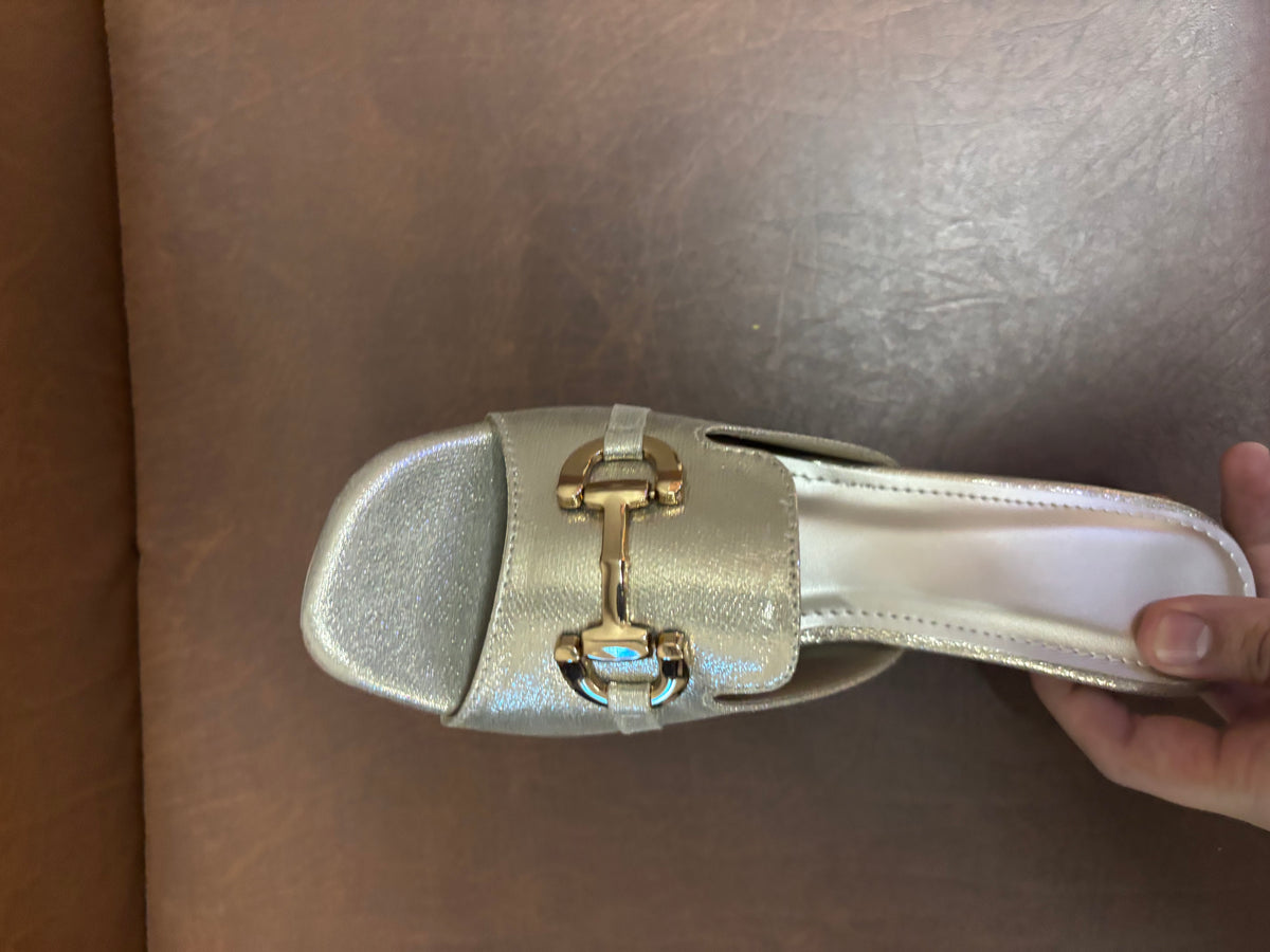 Kiara Slip On Block Heel Mules