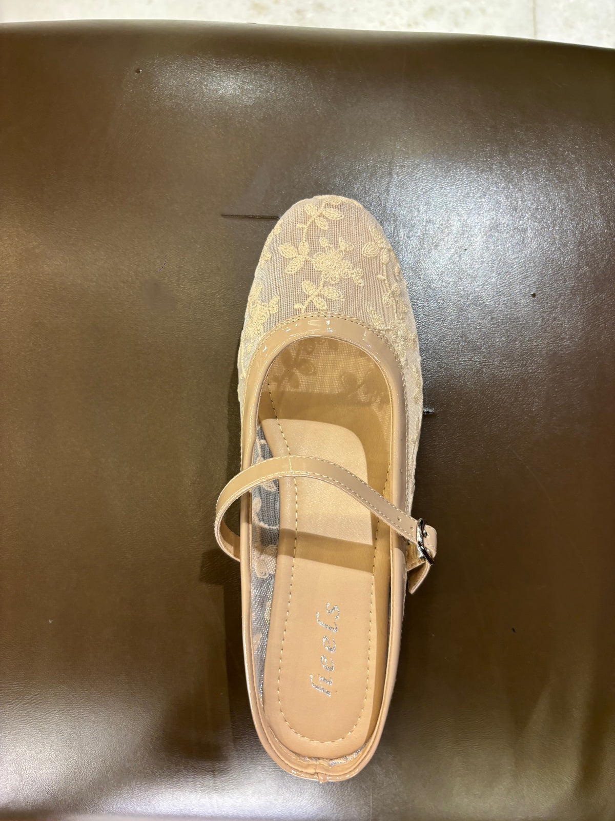 Carla 2.0 Mesh Hand Embroidered Mary Jane Ballerinas in Apricot - The Heels India
