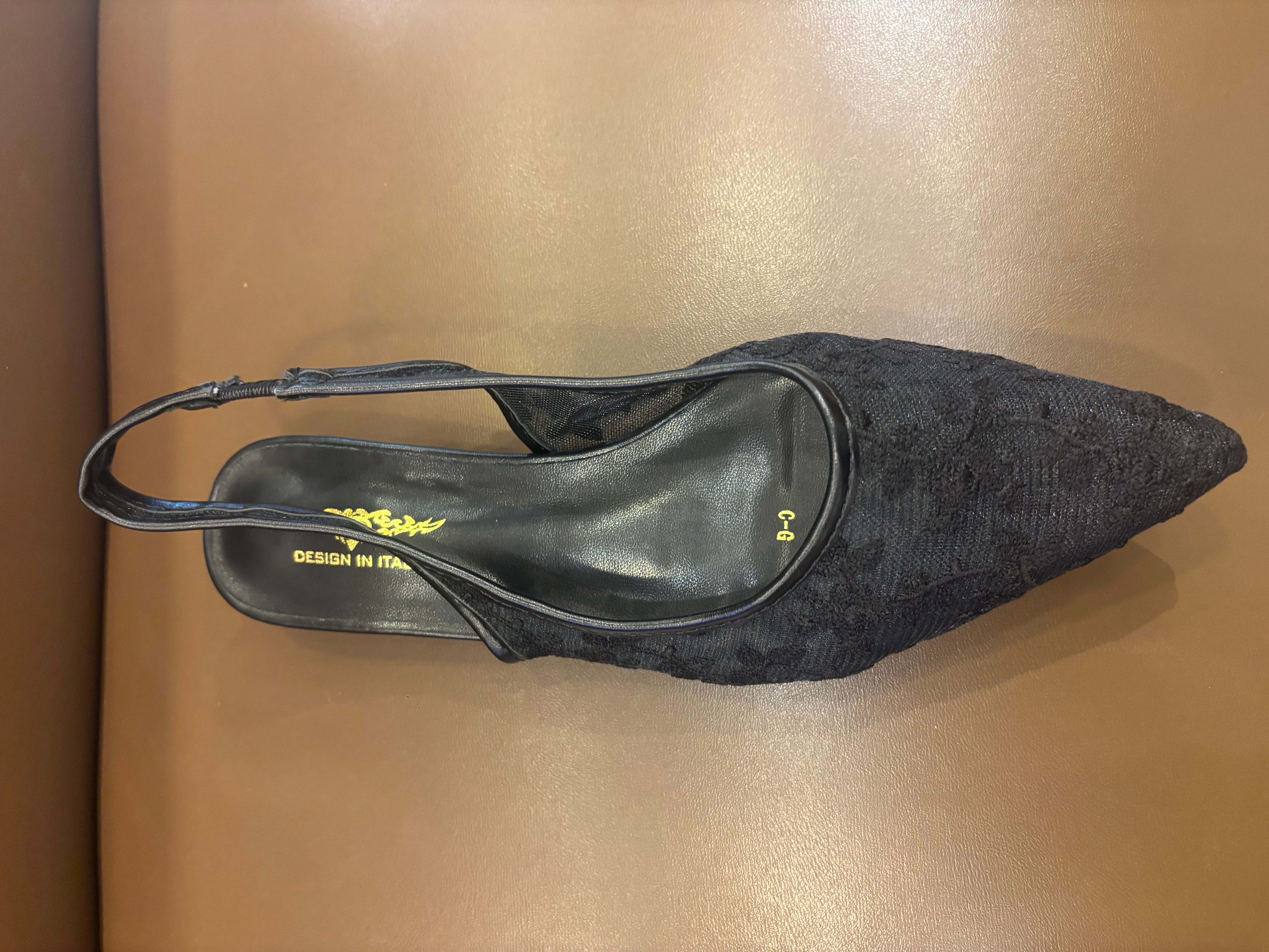 Carmen Mesh Hand Embroidered Sling Back Pointed Ballerinas