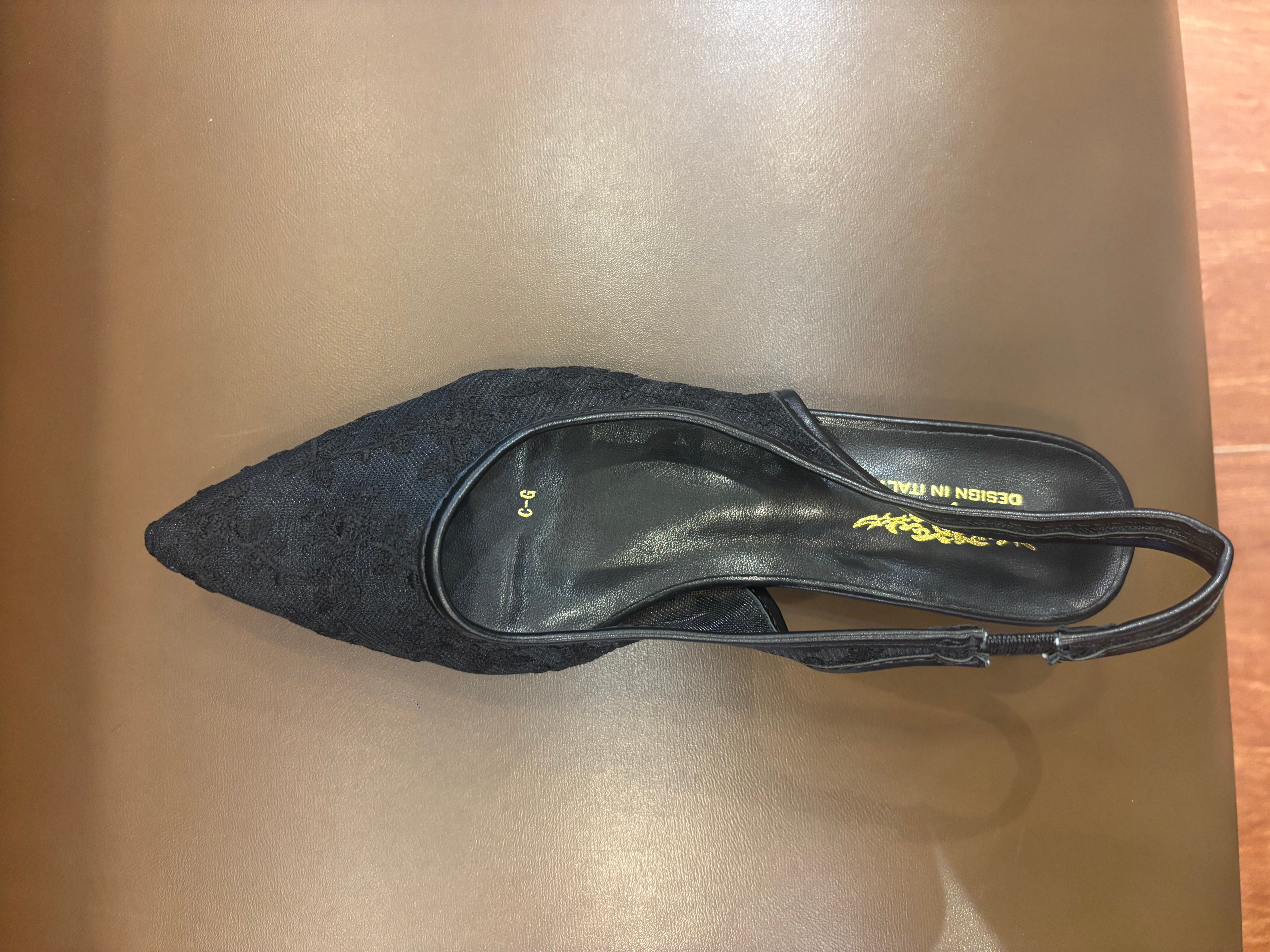 Carmen Mesh Hand Embroidered Sling Back Pointed Ballerinas