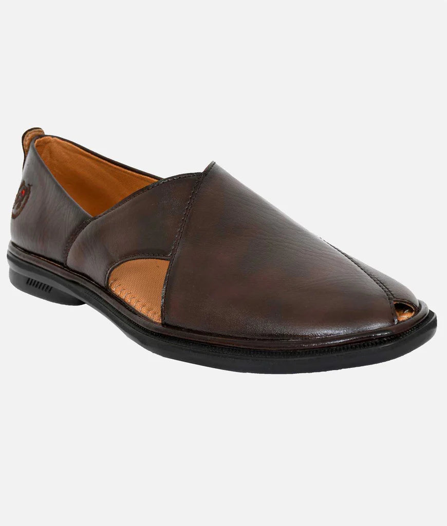 Ralph Ethnic Vegan Peshawaris