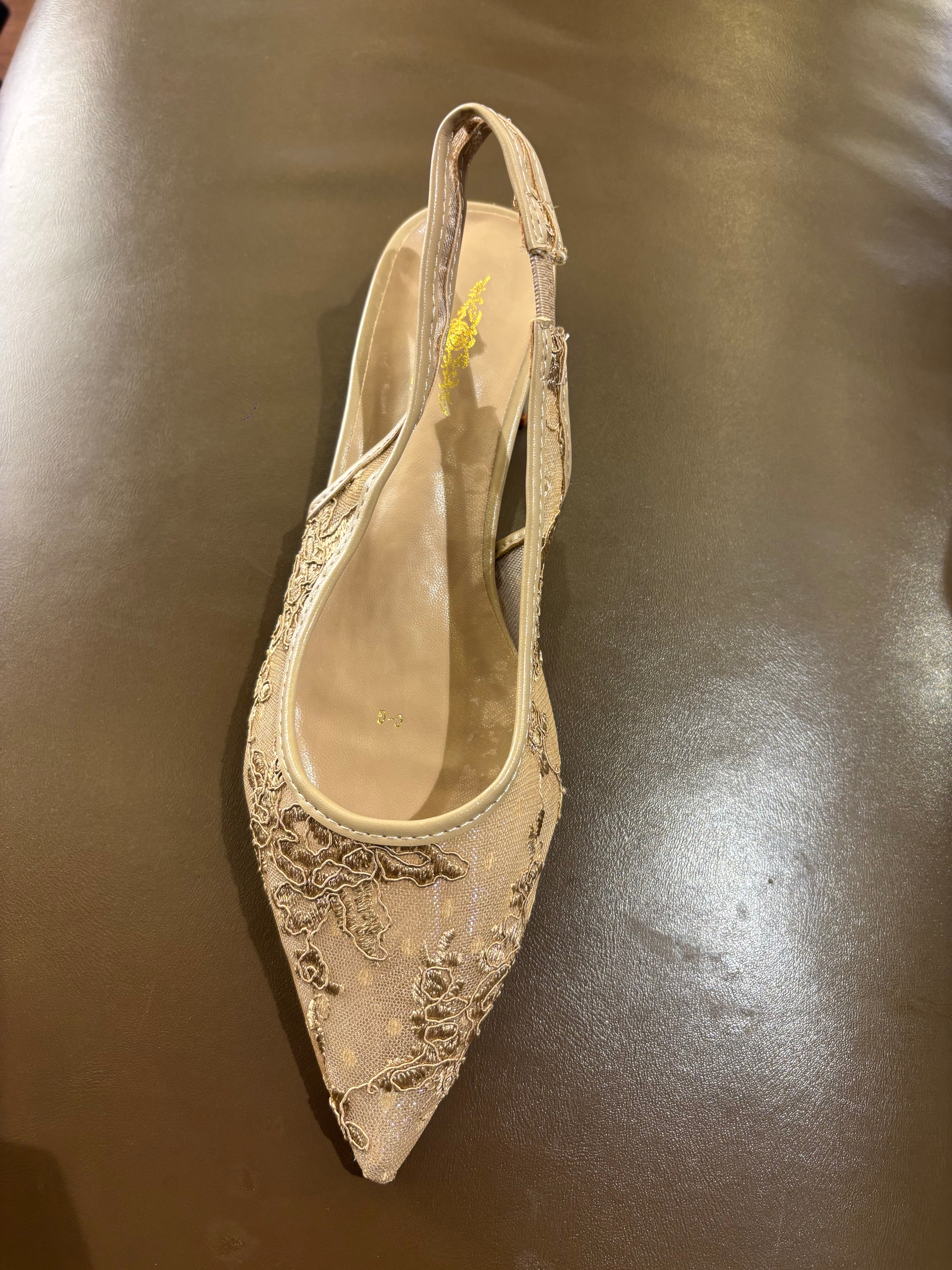 Carmen Mesh Hand Embroidered Sling Back Pointed Ballerinas