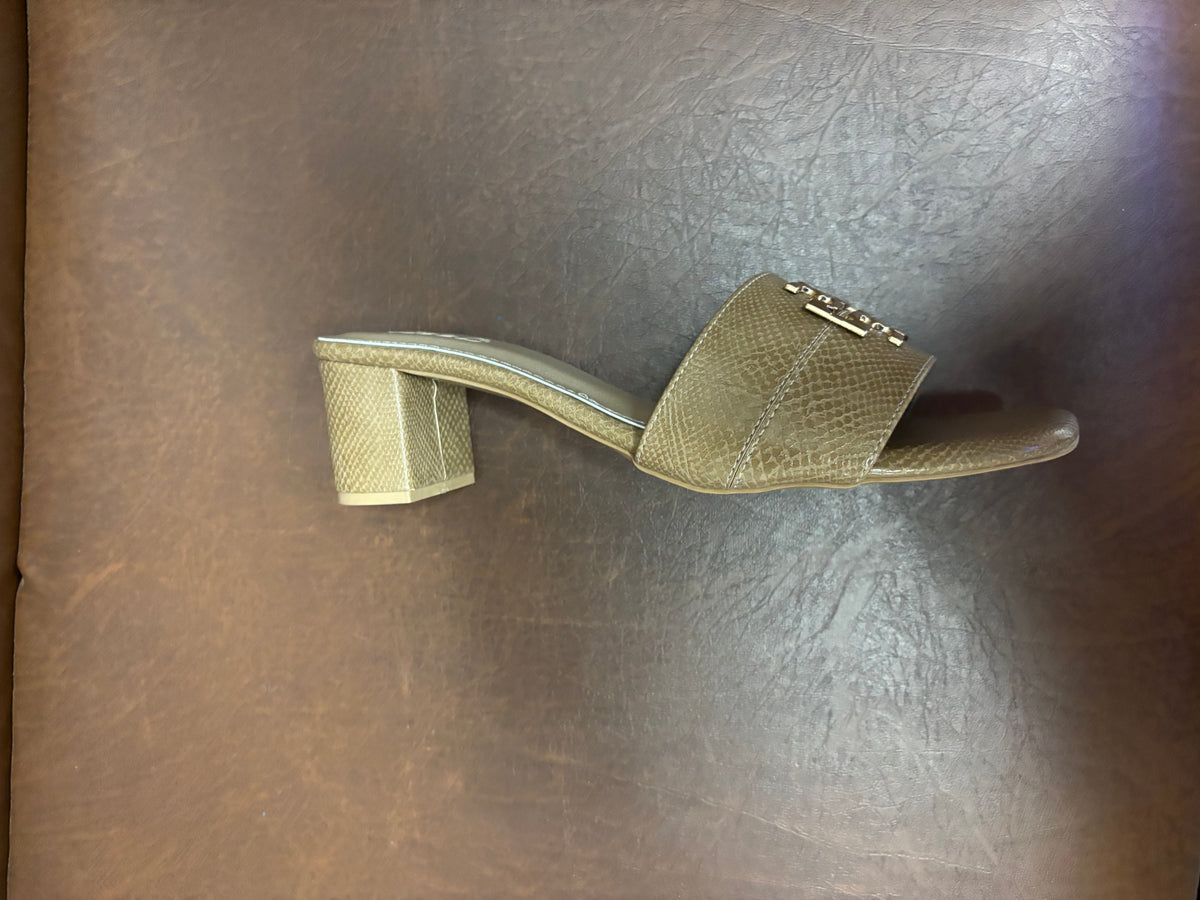 Klara Slip On Block Heel Mules in Chikoo - The Heels India