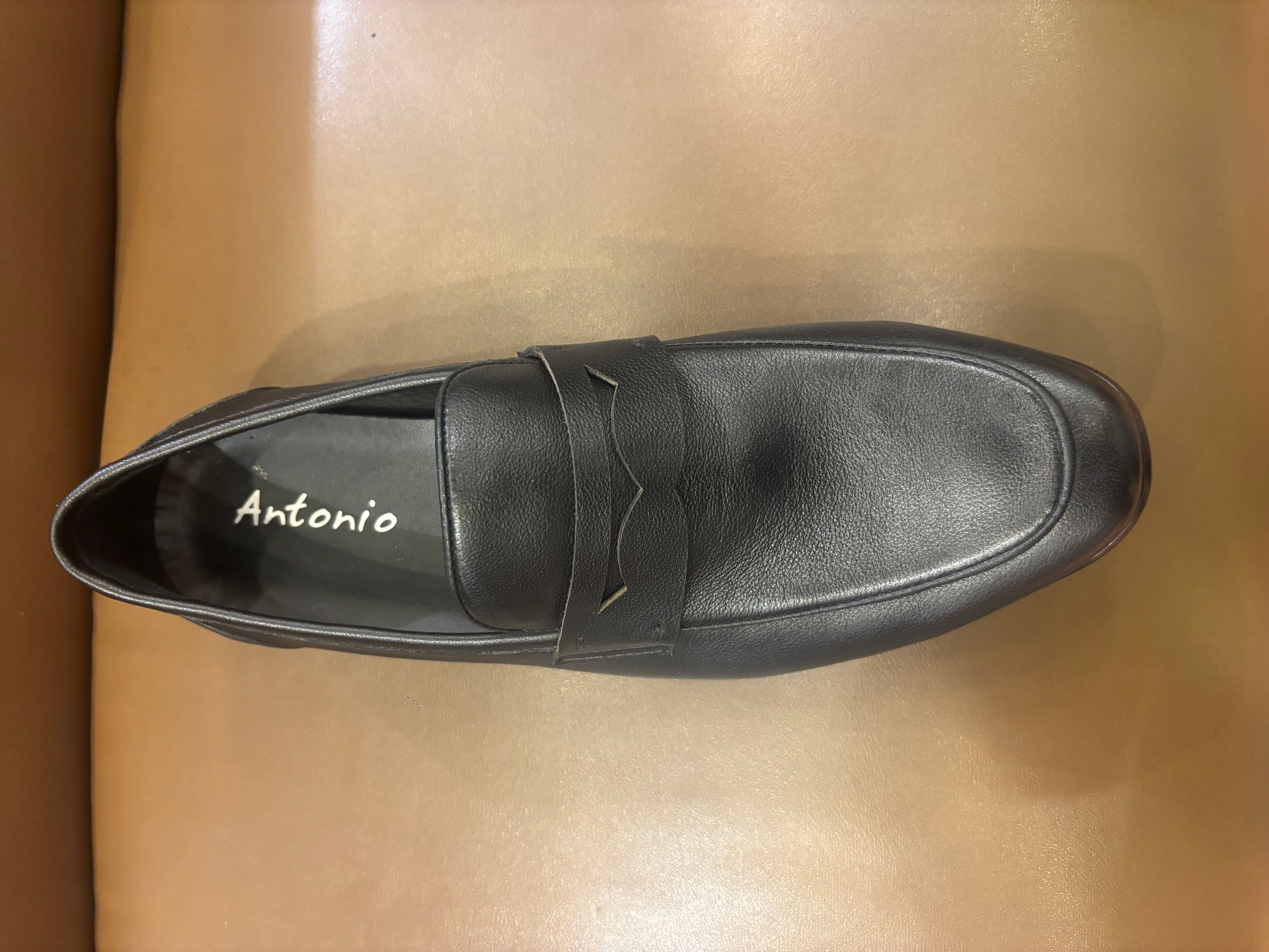 Renato Premium Leather Penny Loafers