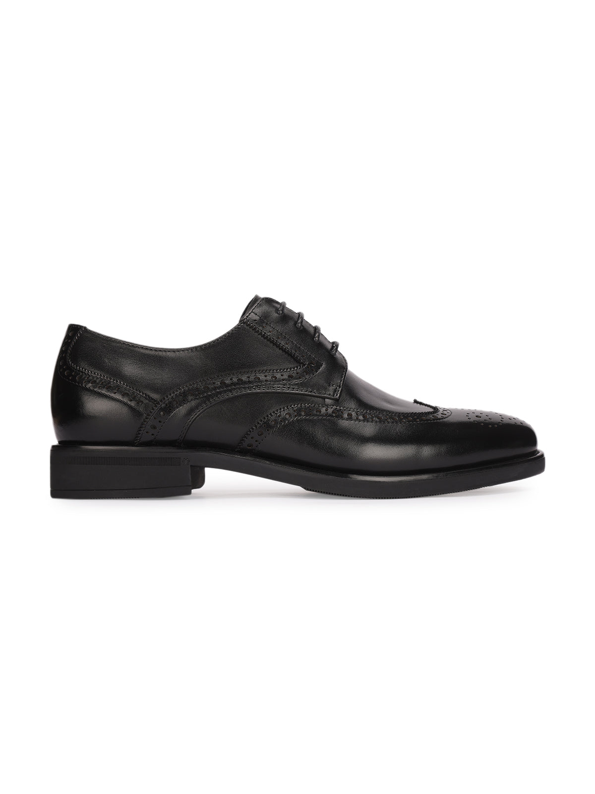 Massimo Premium Leather Brogues