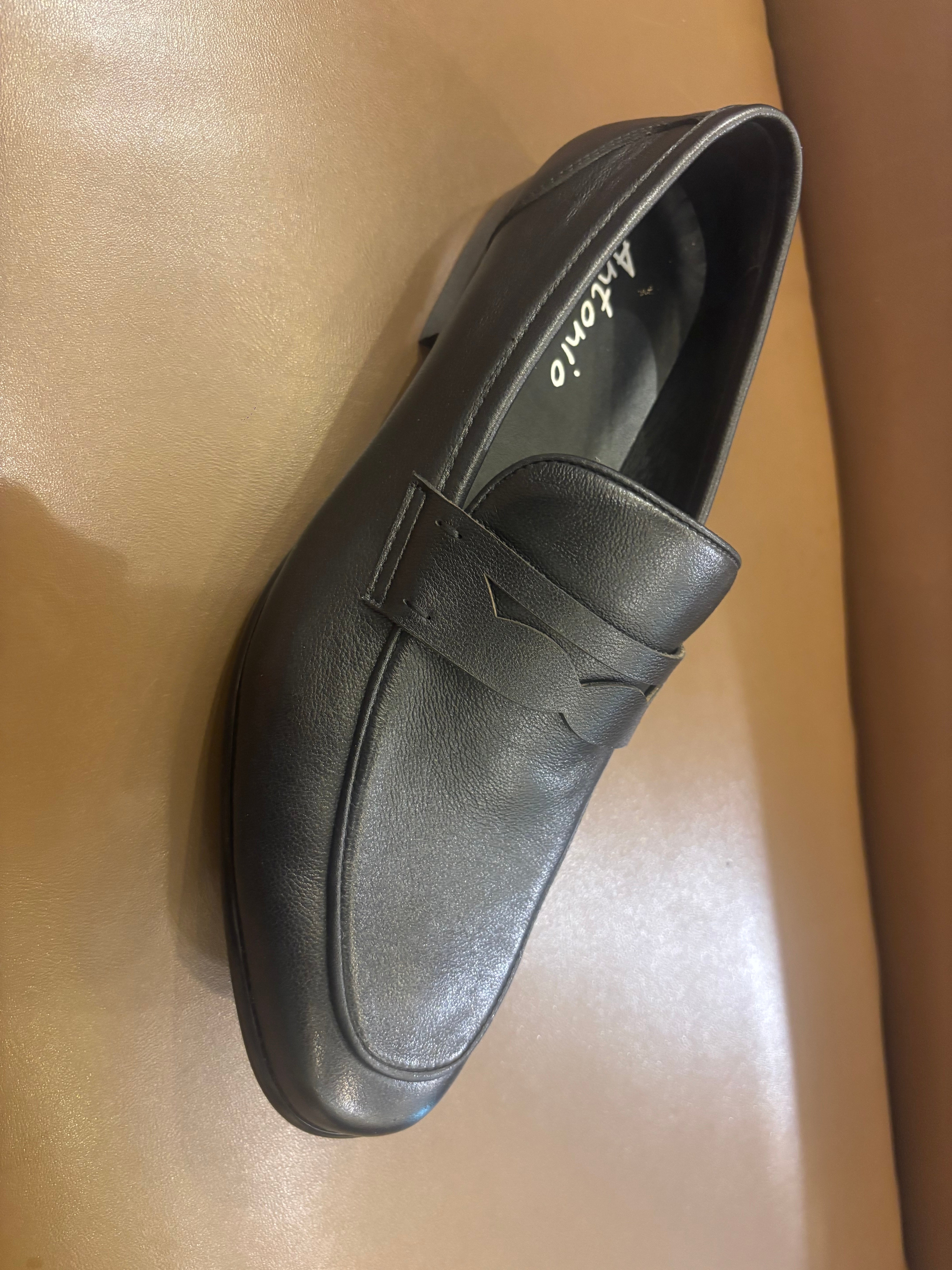 Renato Premium Leather Penny Loafers