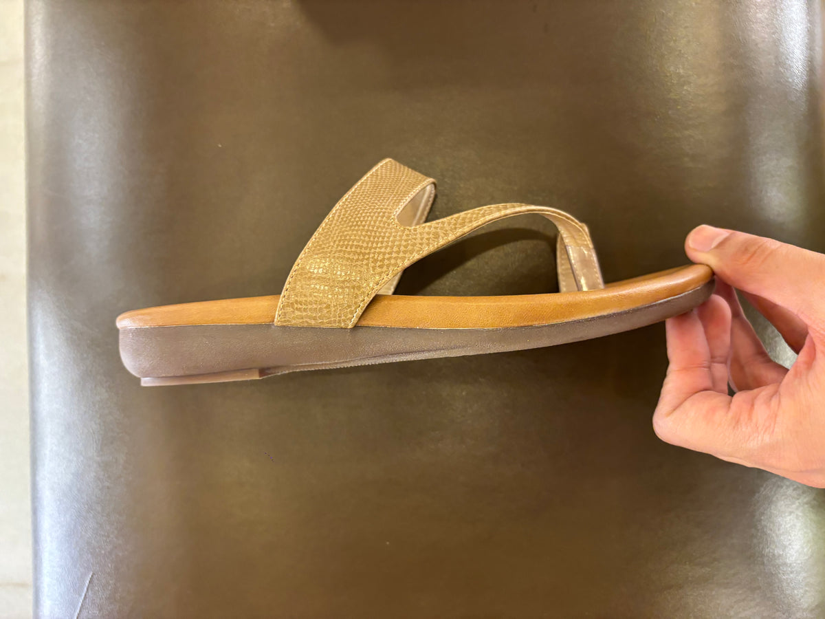 Bonita 3.0 Cushioned Comfort Thumb Slippers in Chikoo - The Heels India