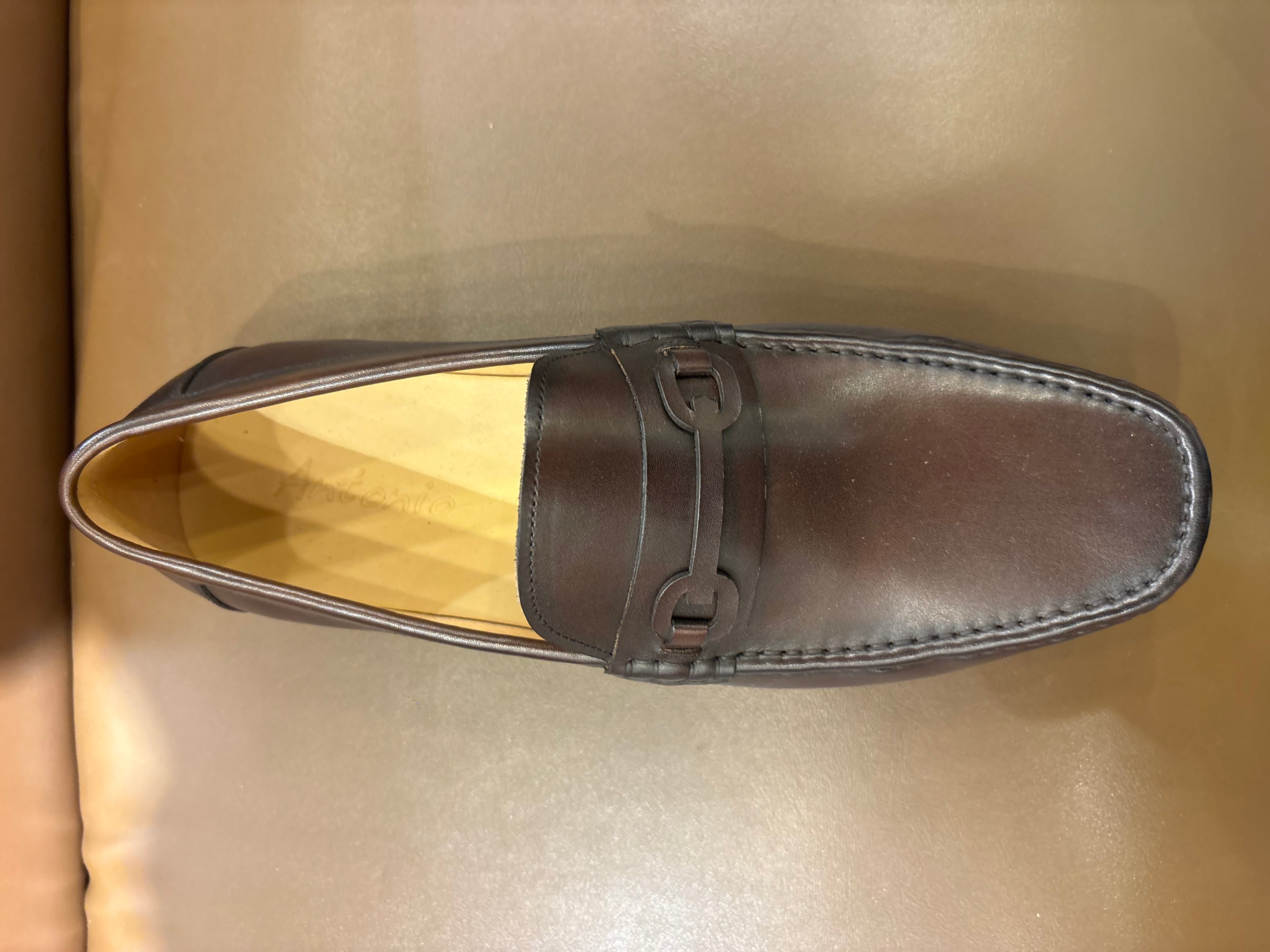 Darwin Premium Leather Loafers
