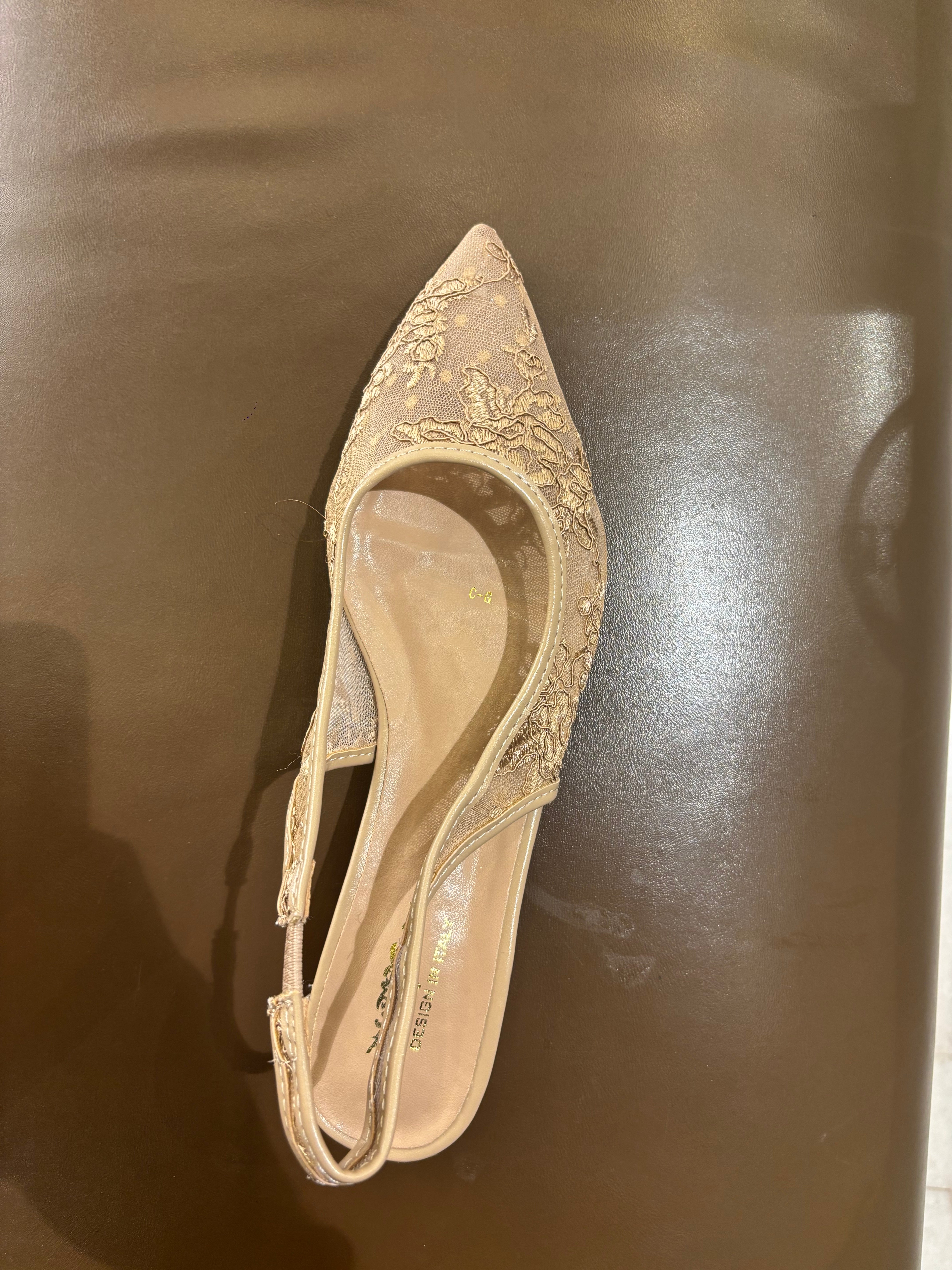 Carmen Mesh Hand Embroidered Sling Back Pointed Ballerinas