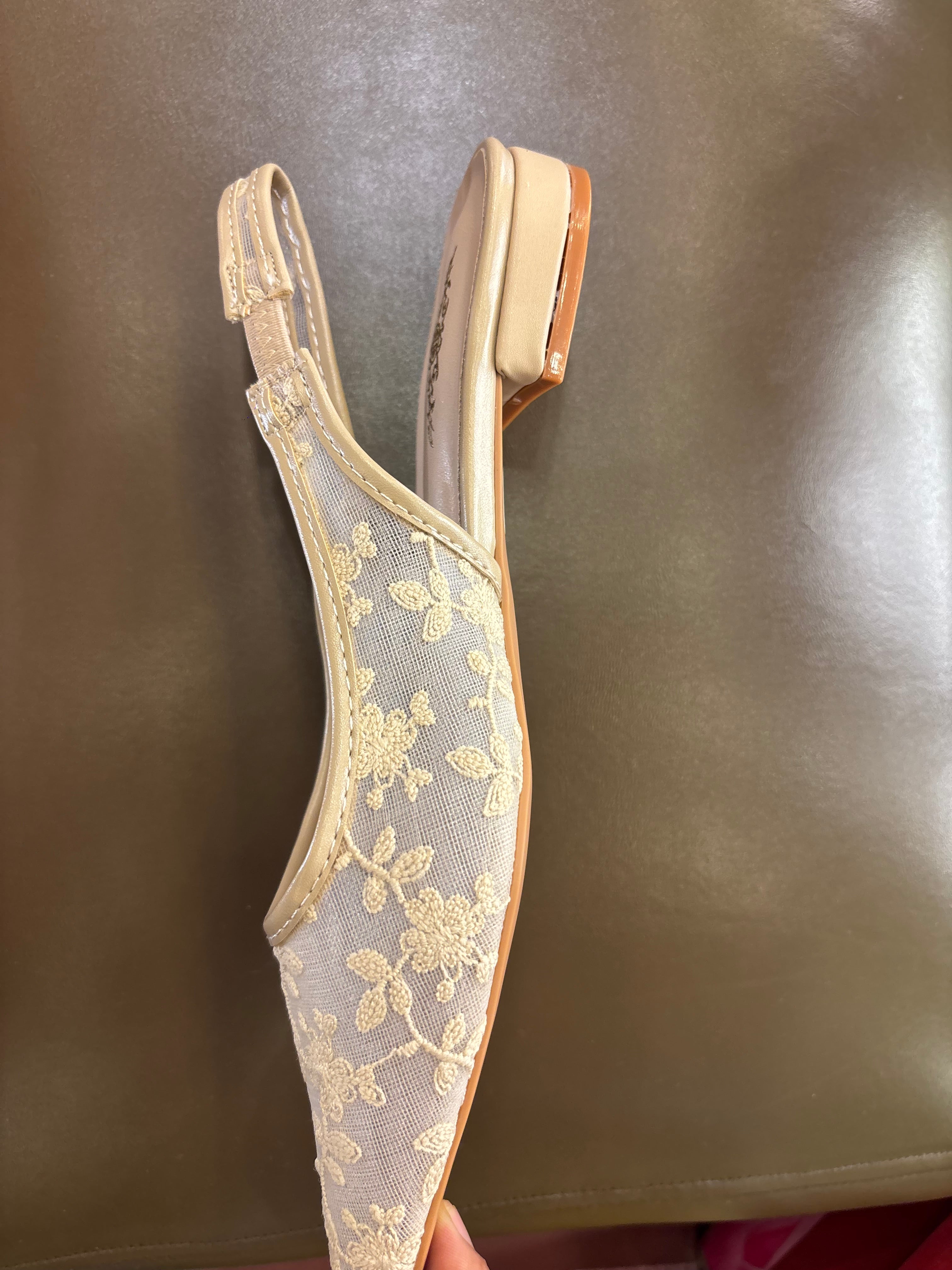 Carla Mesh Hand Embroidered Sling Back Pointed Ballerinas