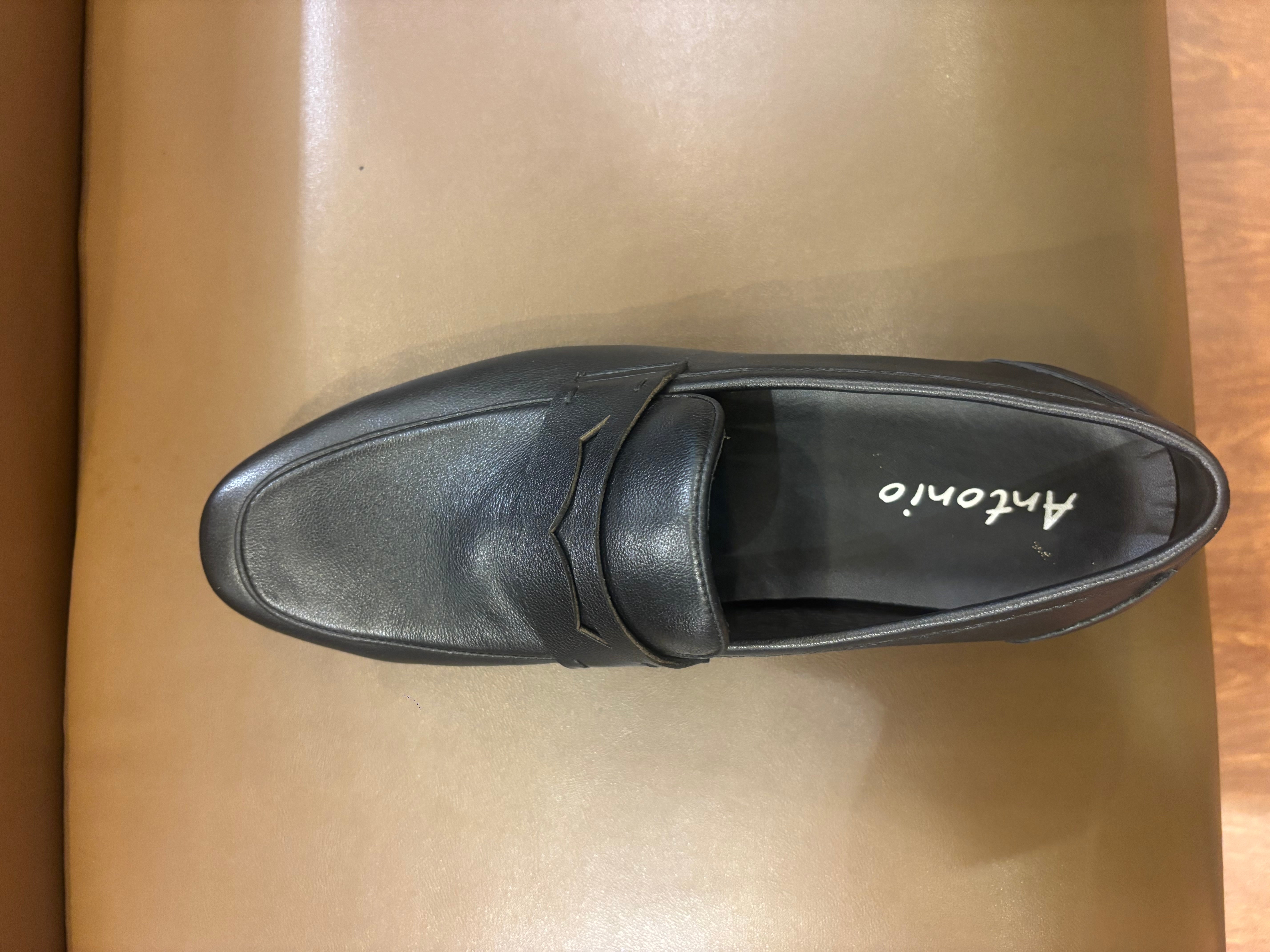 Renato Premium Leather Penny Loafers