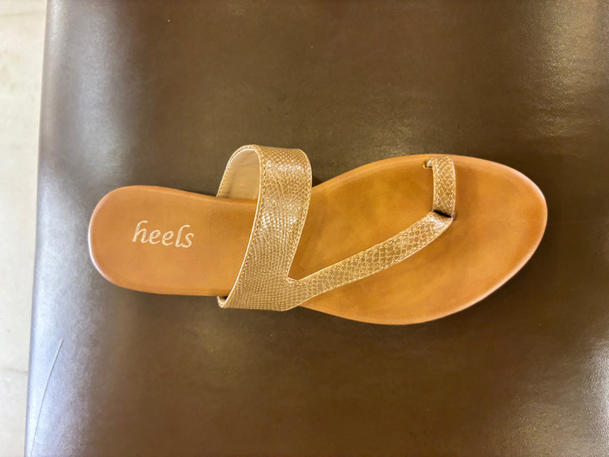 Bonita 3.0 Cushioned Comfort Thumb Slippers in Chikoo - The Heels India