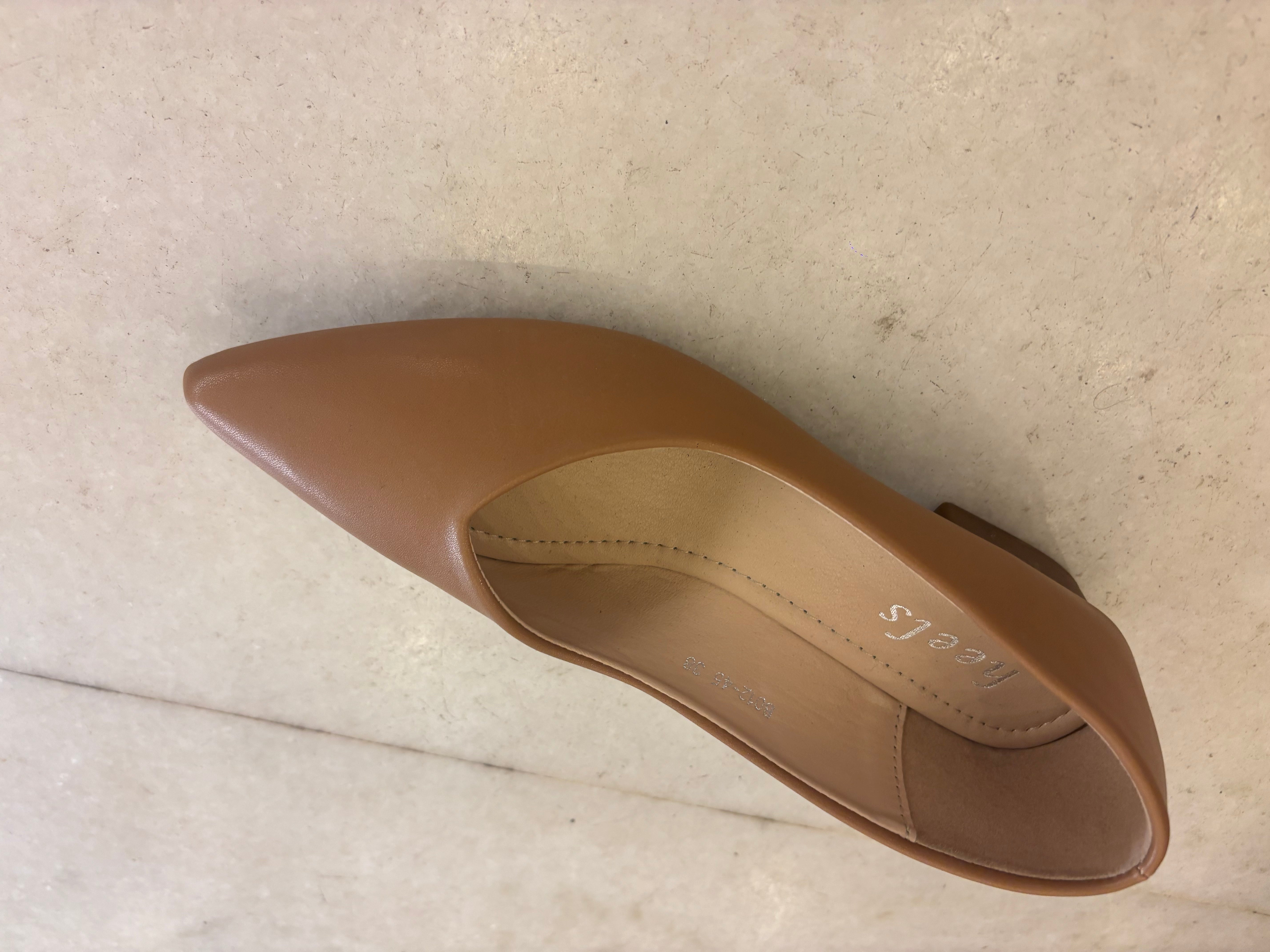Larisa Mid Heel Pointed Ballerinas
